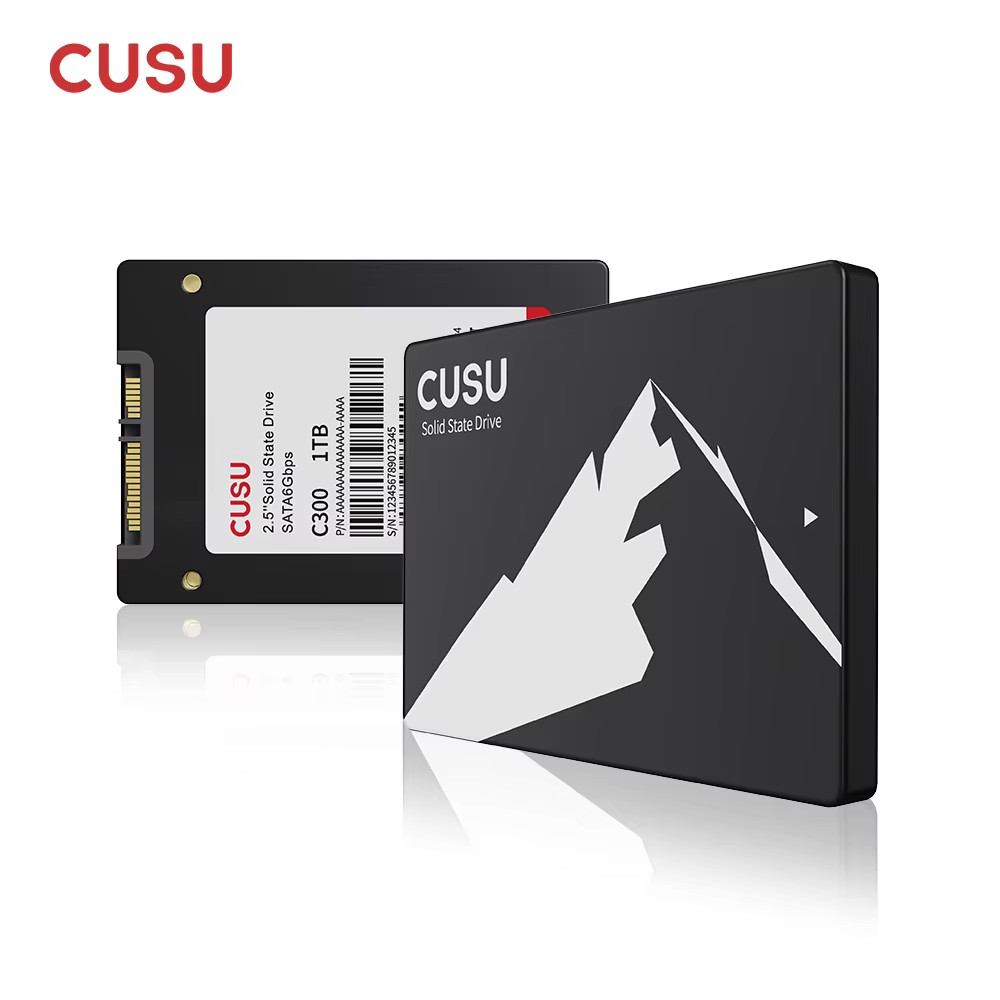CUSU SSD 1 To 512 Go 256 Go 128 Go SATA3 Disque dur 2 To SSD SATA Disque SSD pour ordinateur portabl