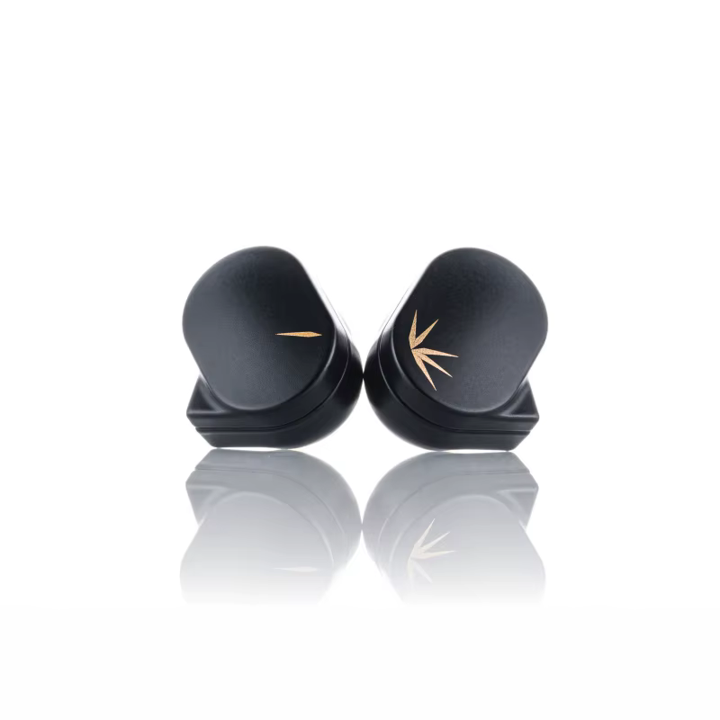 Moondstress- Écouteurs intra-auriculaires CHU DSP avec poignées, pilote dynamique, moniteur USB, éco