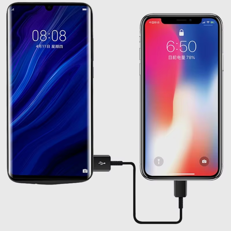 Boîtier de batterie 10000mAh pour Huawei P40/P40 Pro/P30/P30 Pro, chargeur Portable haute capacité, 