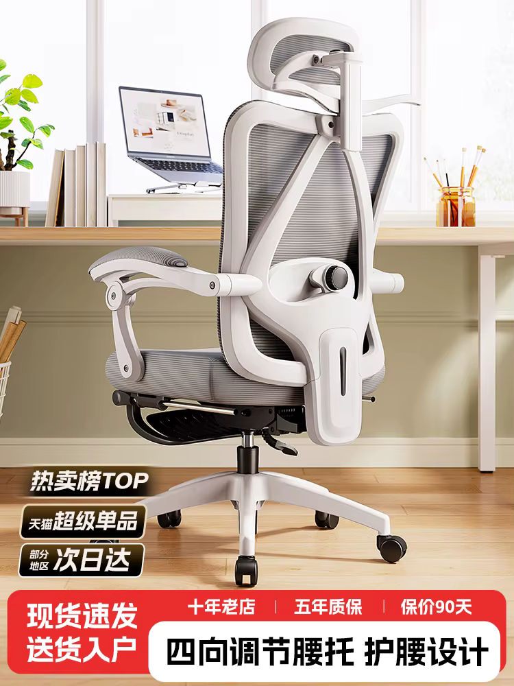 Chaise ergonomique, soutien de la taille, chaise d'ordinateur, confort de la maison, siège de bureau