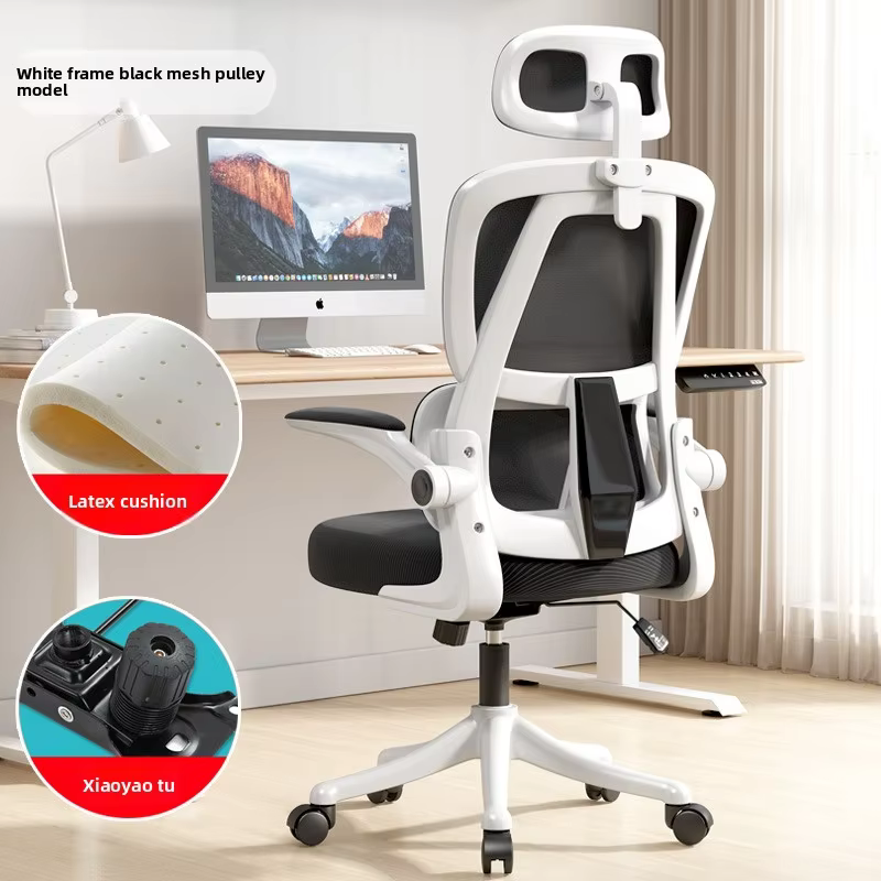 Chaise de bureau ergonomique, chaise de bureau confortable pour étudiants avec Support dorsal, chais