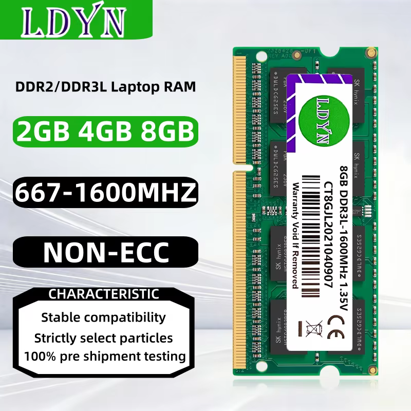 Mémoire RAM pour ordinateur portable 8 Go 4 Go 2 Go DDR2 667 800 MHz DDR3L 1333 MHz 1600 MHz PC2-530