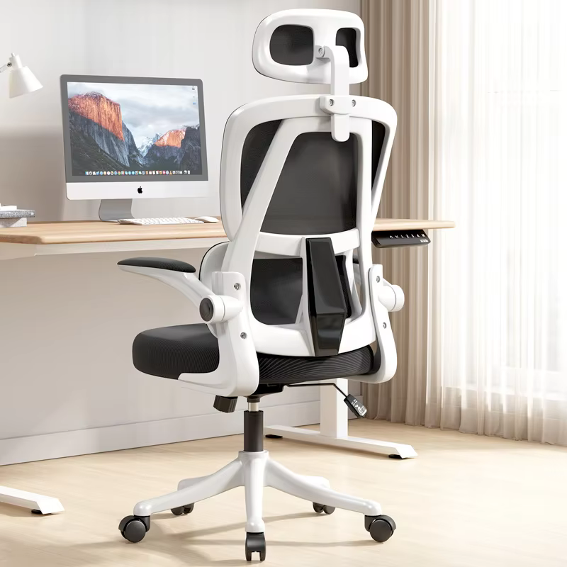 Chaise de bureau ergonomique, chaise de bureau confortable pour étudiants avec Support dorsal, chais