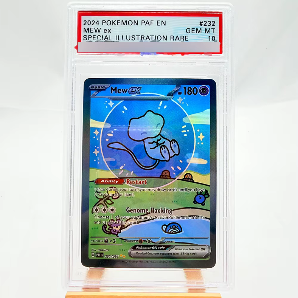 Carte de collection d'anime classique DIY version copie avec évaluation anglaise Rayquaza Charizard