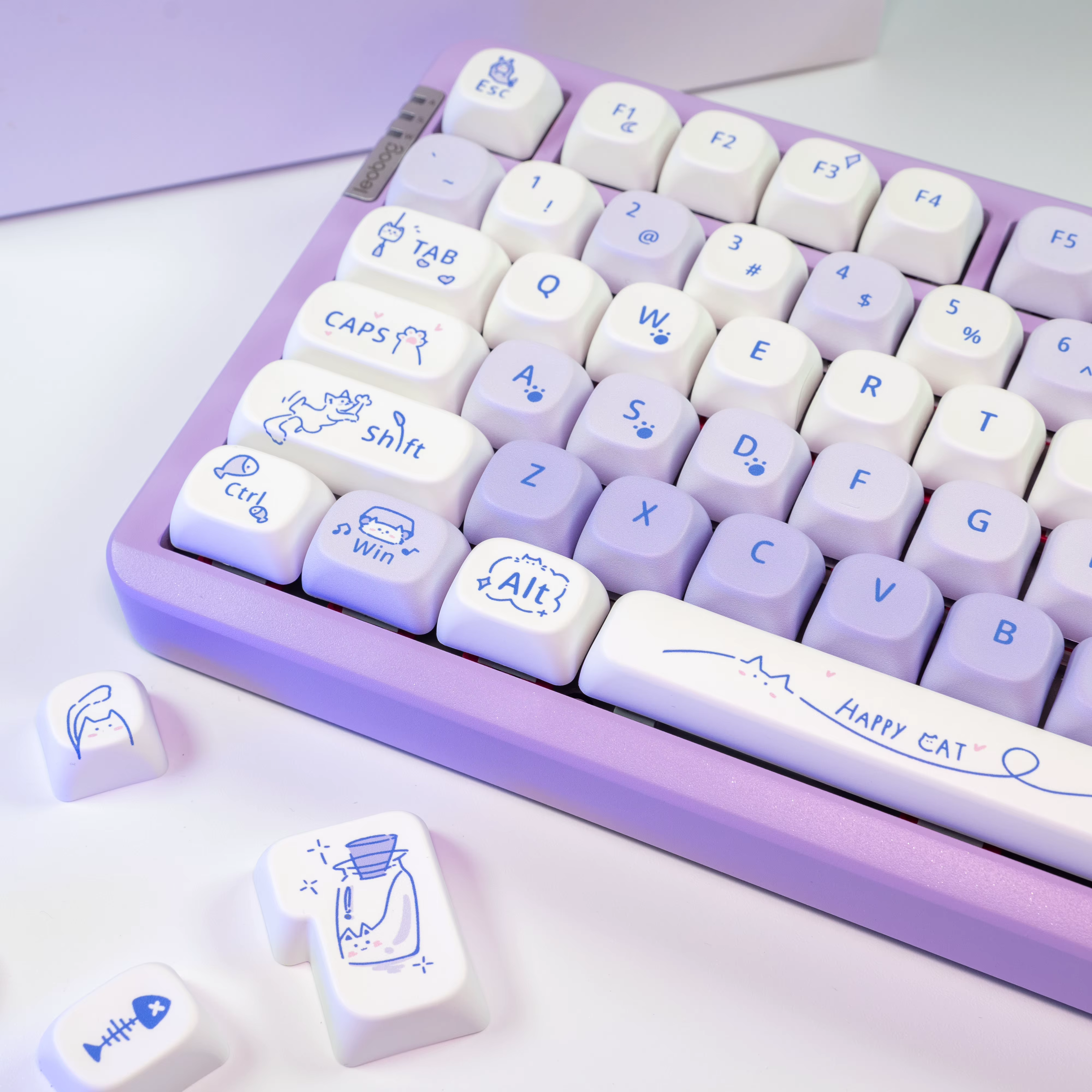 Capuchons de touches en PBT
