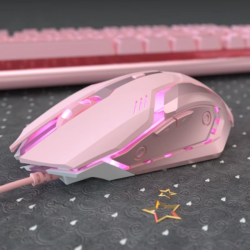 Souris muette de jeu mignon RGB Gamer 6 boutons