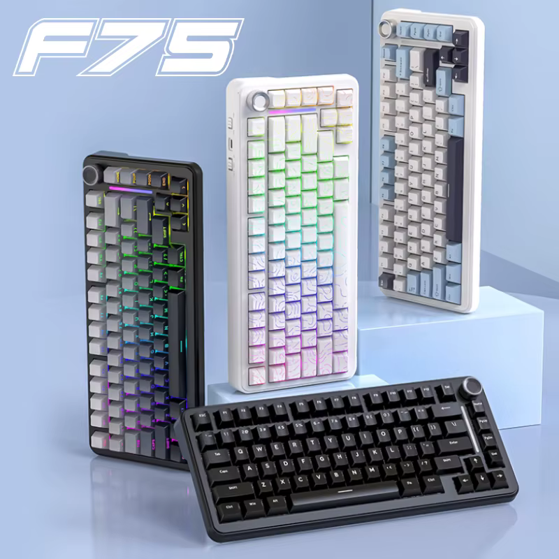 Clavier de jeu sans fil FREEWOL F75 RGB