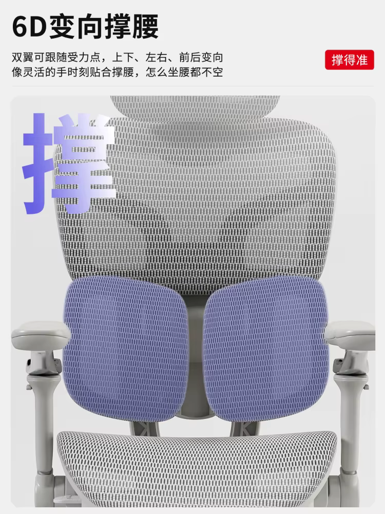 Chaise de bureau ergonomique avec Support lombaire