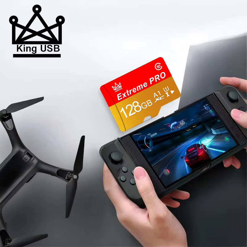 La carte Micro TF/SD de 4 Go