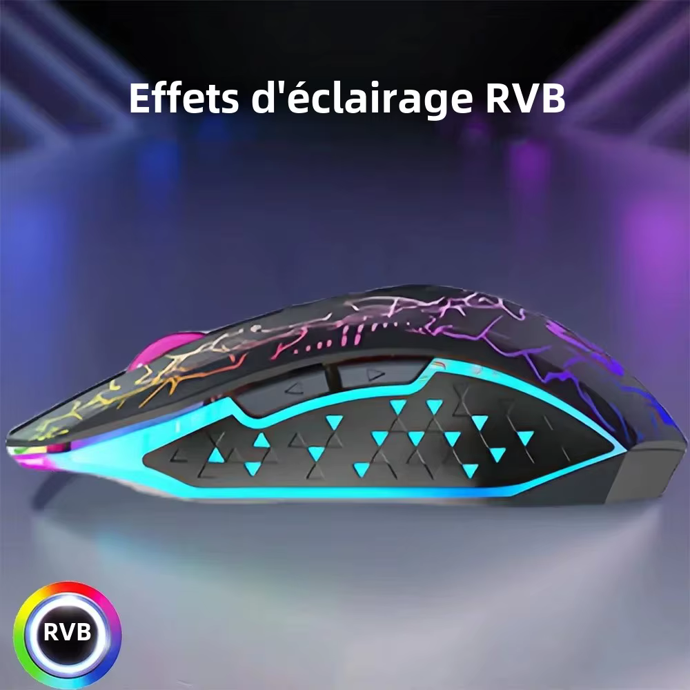 Souris sans fil Bluetooth 5.2 RGB 2.4G