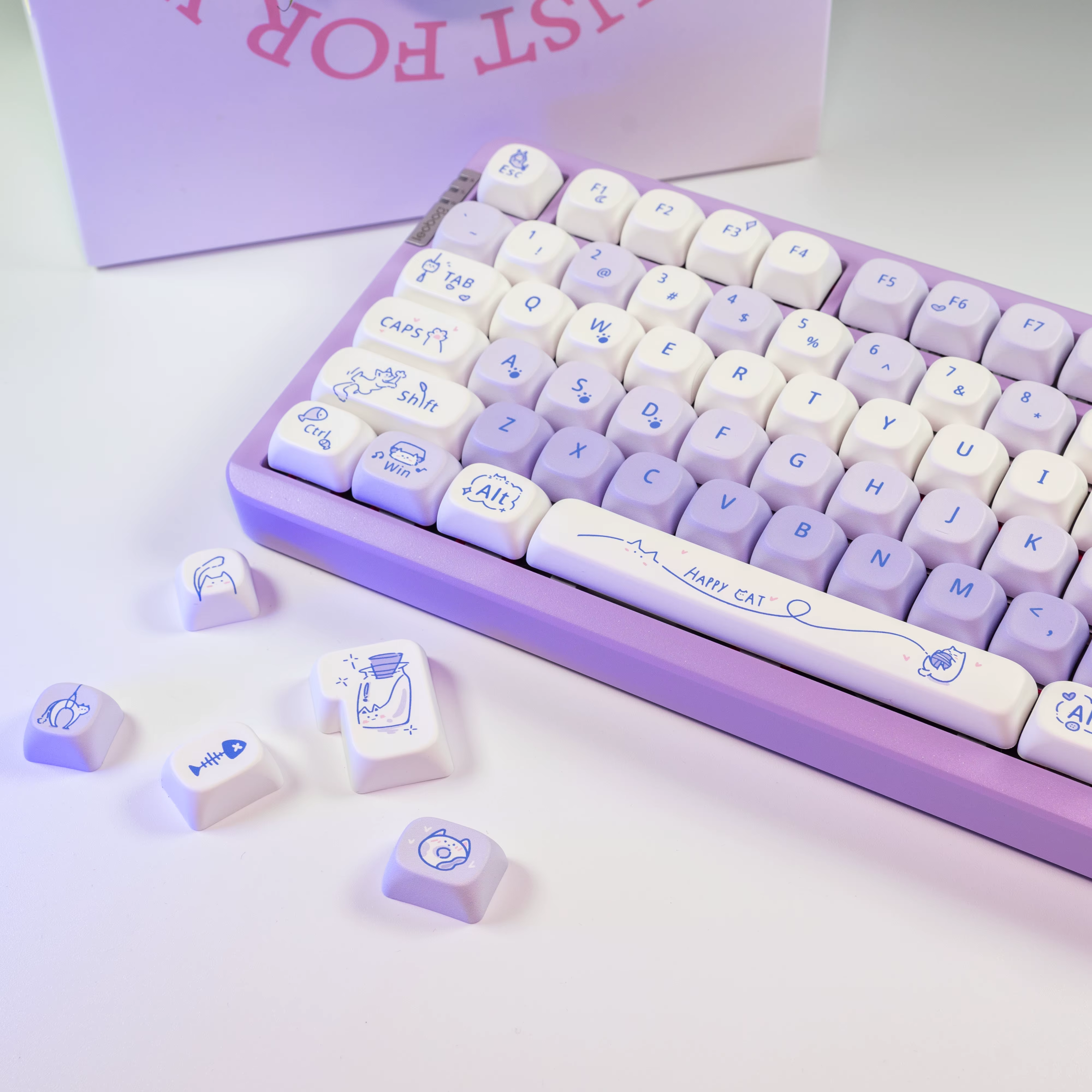 Capuchons de touches en PBT