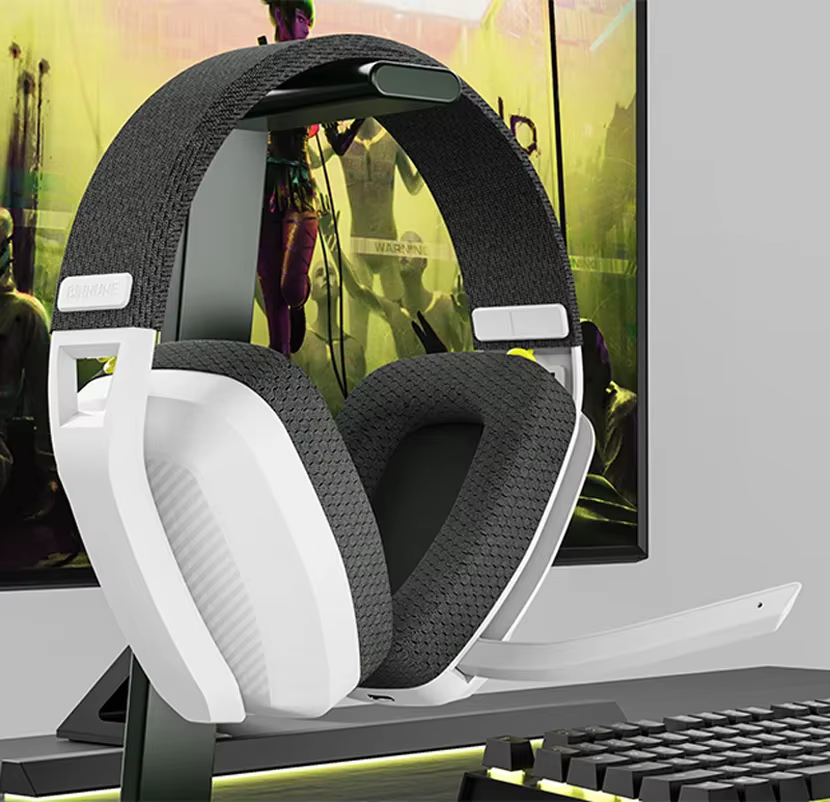 BINNUNE BW06 casques Bluetooth Gamer avec micro pour PS5 PS4 PC Mac Playstation casque de jeu sans fil 2.4GHz avec Microphone