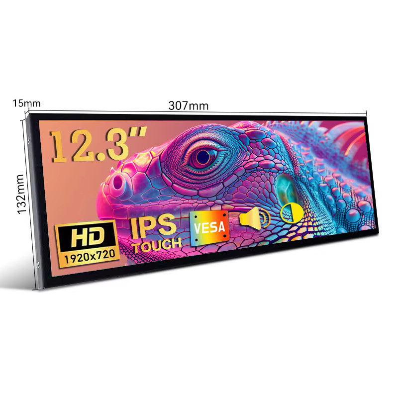 Moniteur tactile portable de 12