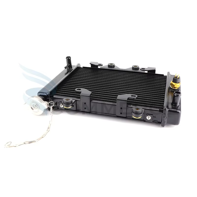 Radiateur de refroidissement à eau pour moteur ATV, pour moteur, 150cc, 200cc, 250cc, UTV, Quad, Dirt Bike, pièces de Buggy