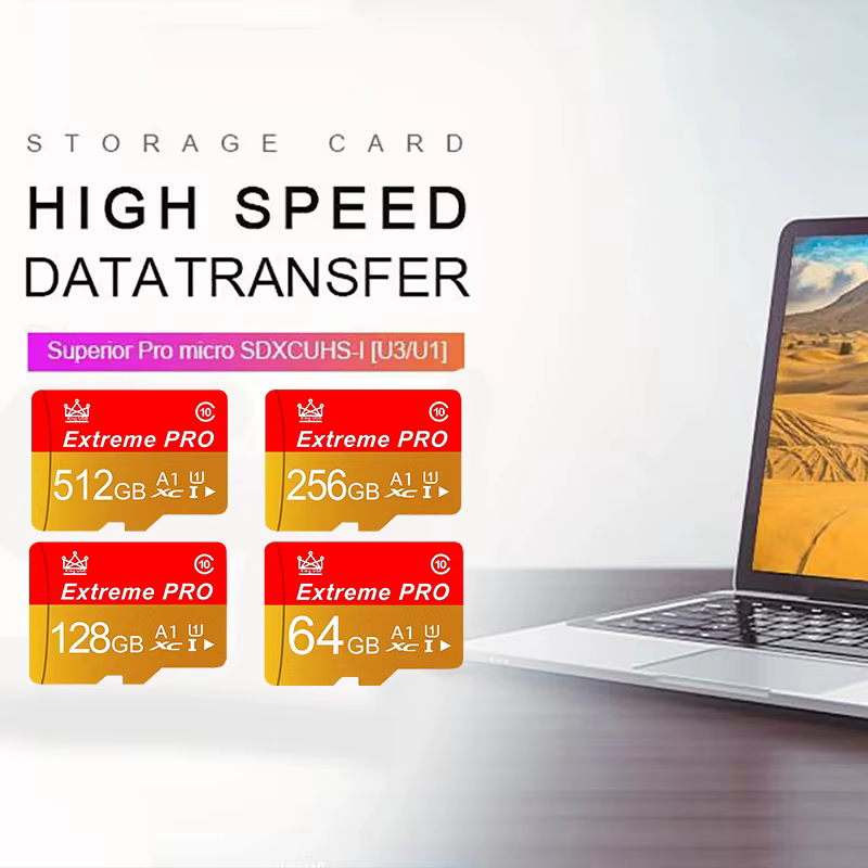 La carte Micro TF/SD de 4 Go