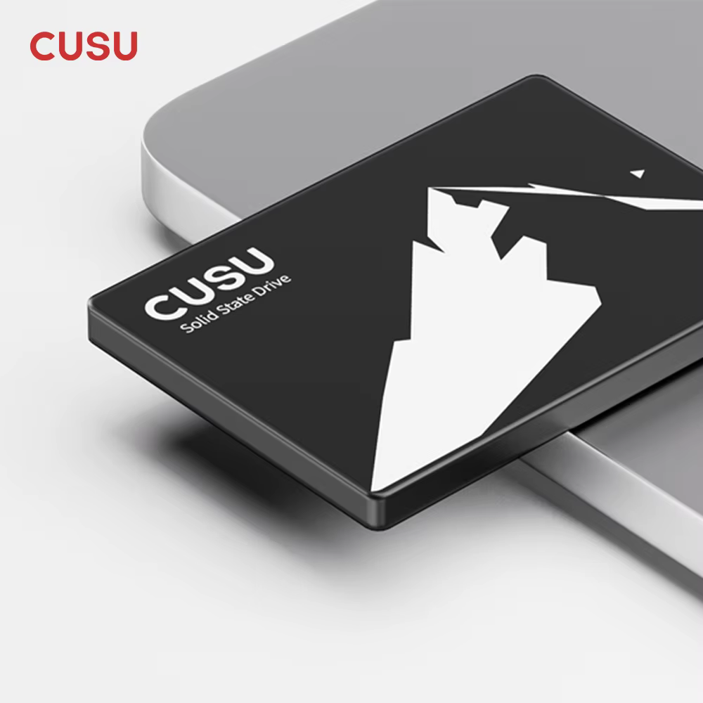 CUSU SSD 1 To 512 Go 256 Go 128 Go SATA3 Disque dur 2 To SSD SATA