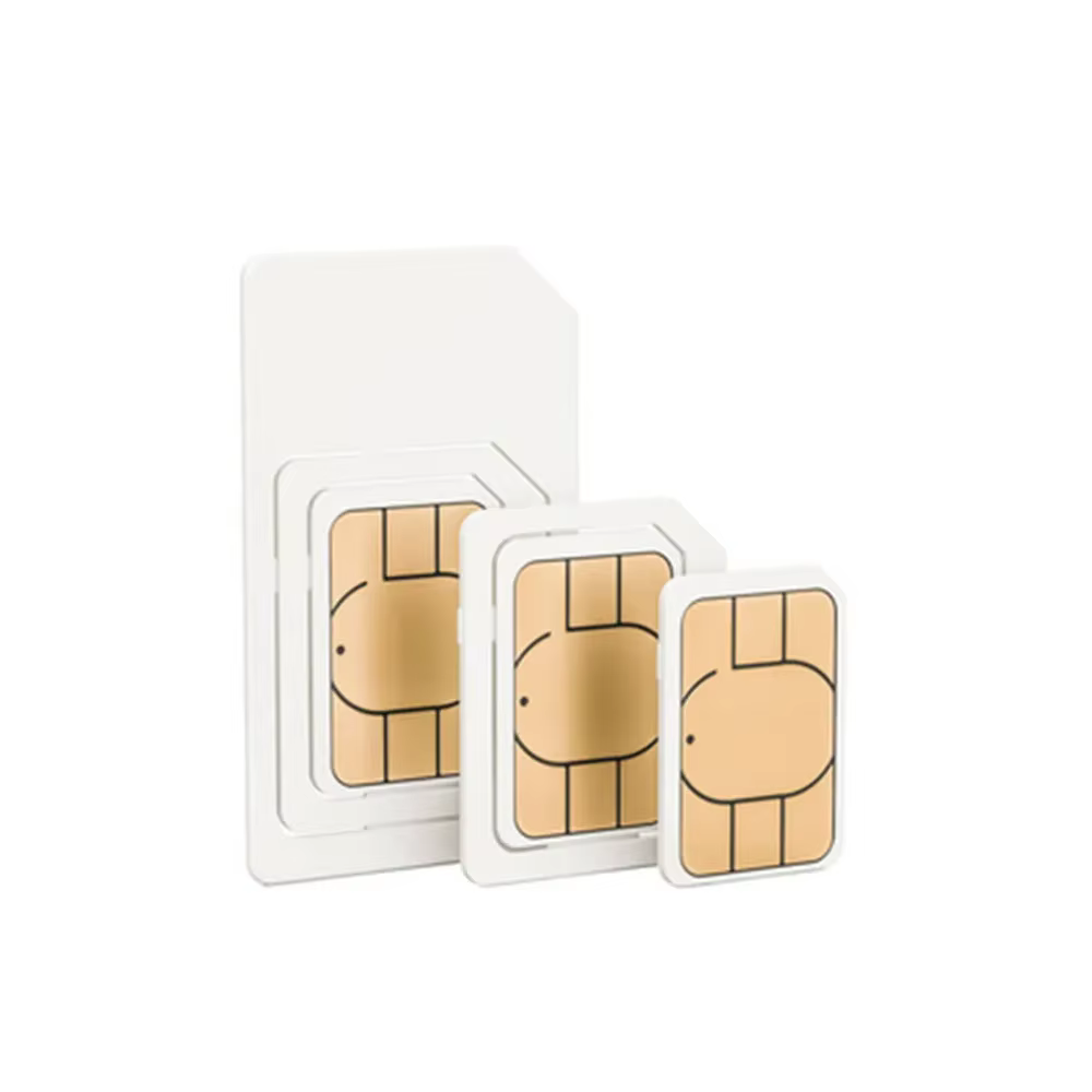 M2M Data-4G LTE carte SIM asie dispositif IoT cellulaire universel, collier de montre itinérant, passerelle GPS, Service 360 jours, 1 Go